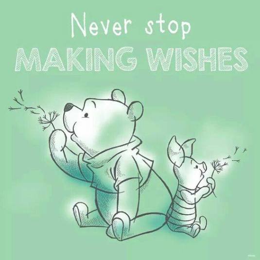 14202485_524734544378809_2499722533922096416_n